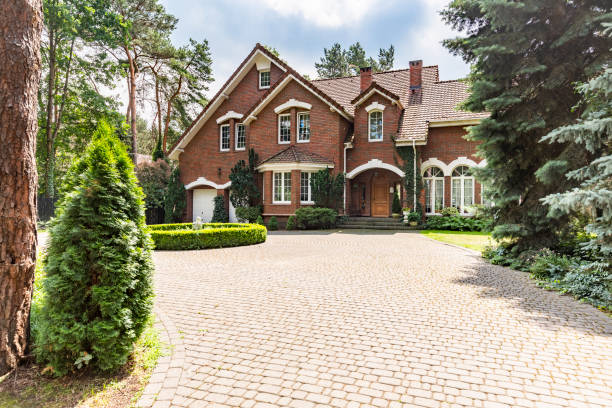 Best Residential Driveway Paver Services  in Vassar, MI